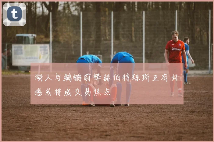 湖人与鹈鹕前锋赫伯特琼斯互有好感或将成交易焦点
